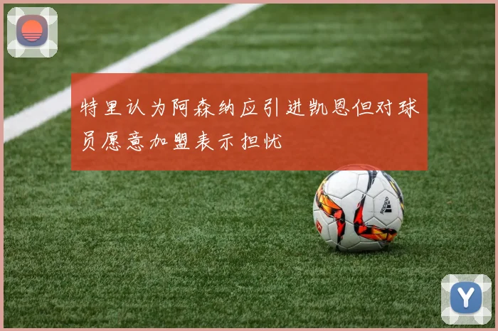 特里认为阿森纳应引进凯恩但对球员愿意加盟表示担忧